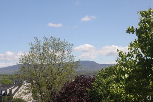 Building Photo - Remodeled Condo with amazing Mountain View...