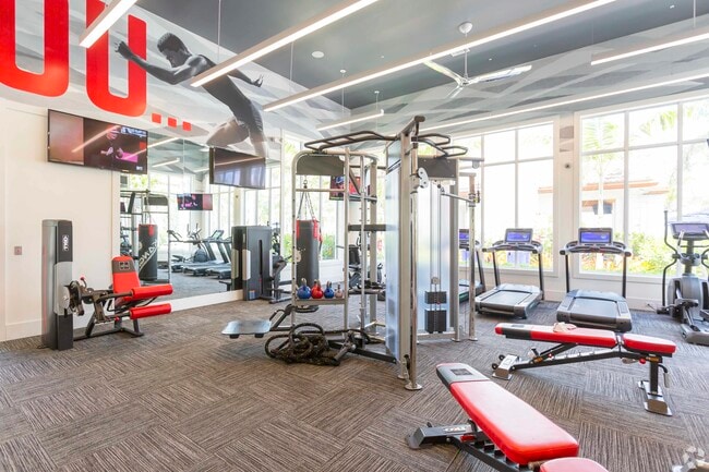 Gimnasio con equipos de entrenamiento cardiovascular y de musculación