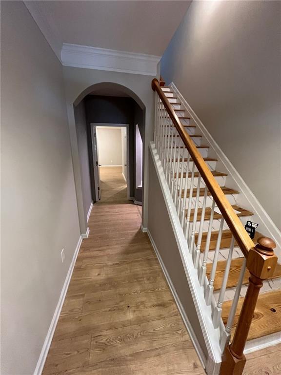821 Tulip Poplar Way