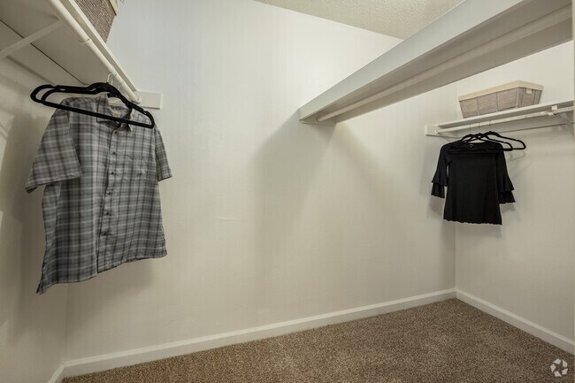 2BR, 1BA - 850SF - Primary Closet
