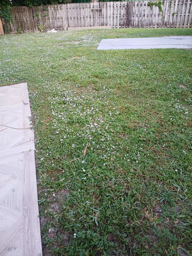 Photo - 8743 Sol Terrace