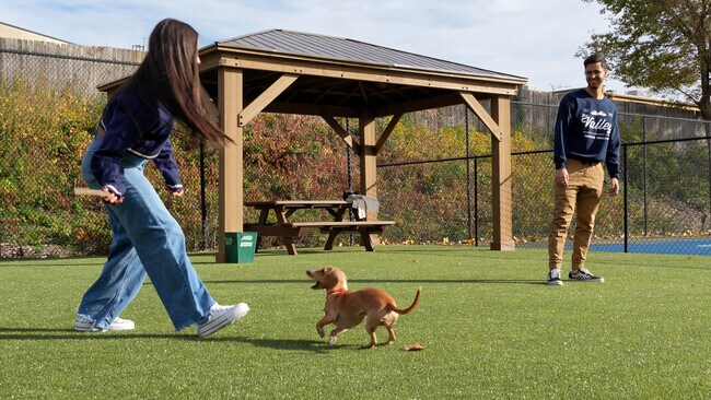New Dog Park