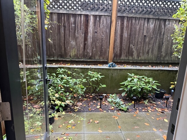 Photo - 244 Selby St