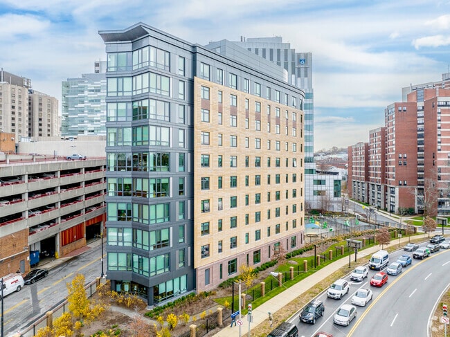 Photo - Mosaic on the Riverway