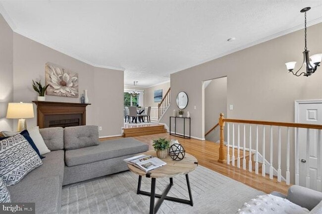3609 Buckeye Ct