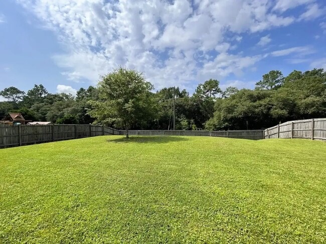 Back yard