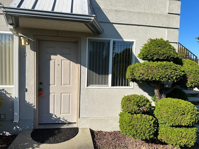 Photo - 1 Bedroom, 1 Bathroom Lower Unit in Small Apartment Building Close to BTC Unit #3