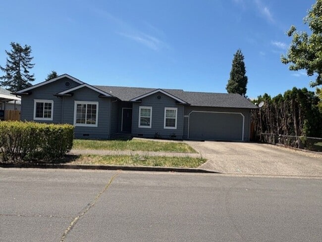 New paint & fencing - New paint & fencing House