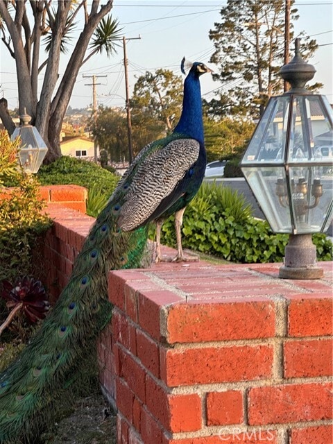 Photo - 28068 Braidwood Dr