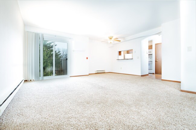 Photo - High Point Woods