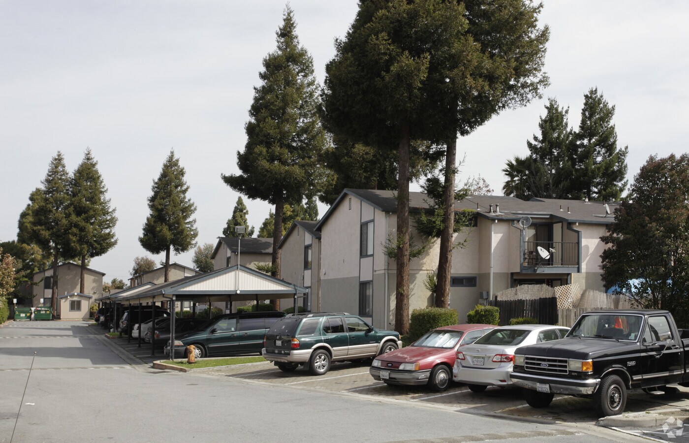 Schafer Gardens - Schafer Gardens Apartments