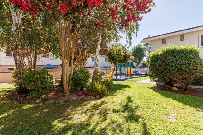 Whitman Villa Townhomes