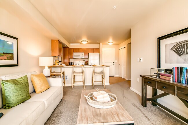 Affinity at Lafayette 55+