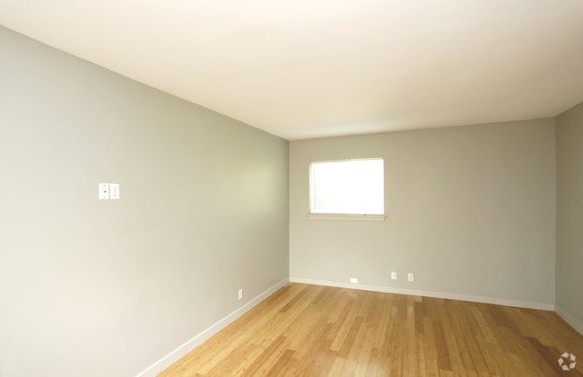 Plenty of Natural Light