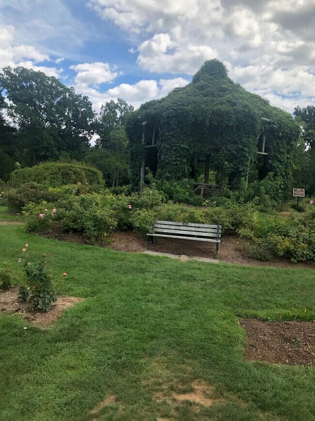 Photo - 1144 Boulevard