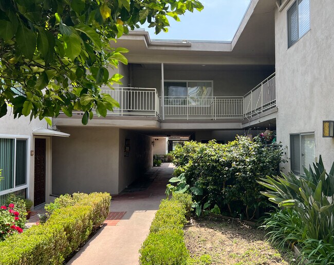 Rear Courtyard