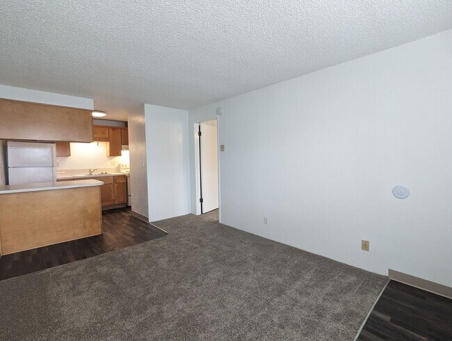 Updated 1-Bedroom, 1-Bath Apartment In Spr... - Updated 1-Bedroom, 1-Bath Apartment In Spr...