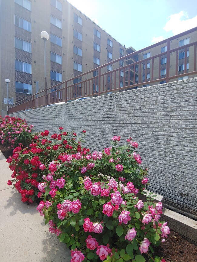 Park Hill Apartments Penn State University OffCampus Housing Search