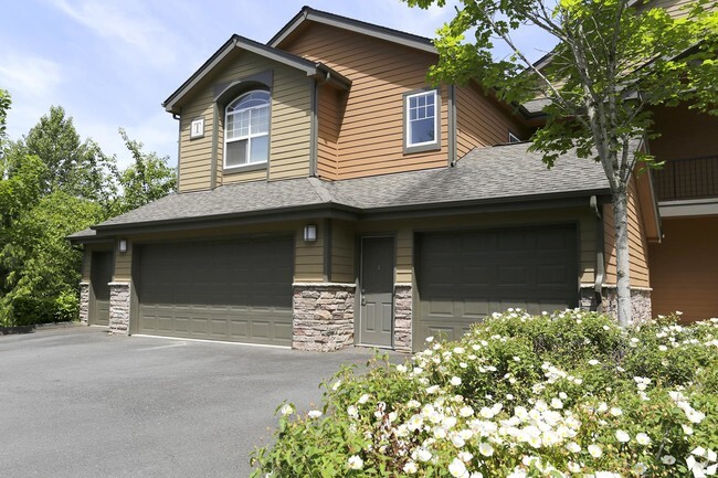 Building - Boulder Creek