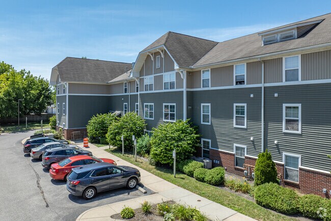 Alternate View - Steeplechase