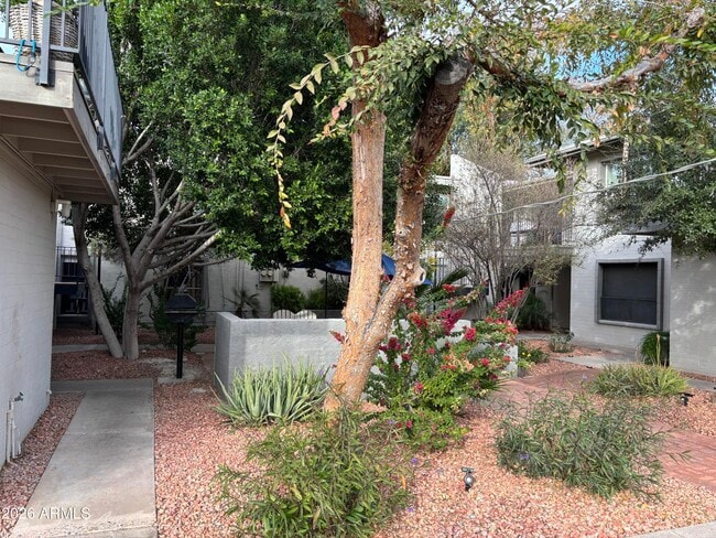 Photo - 4111 E Camelback Rd Unit 17