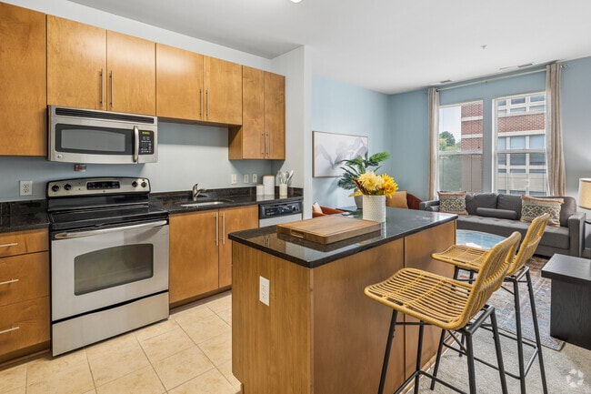 Studio - 502SF