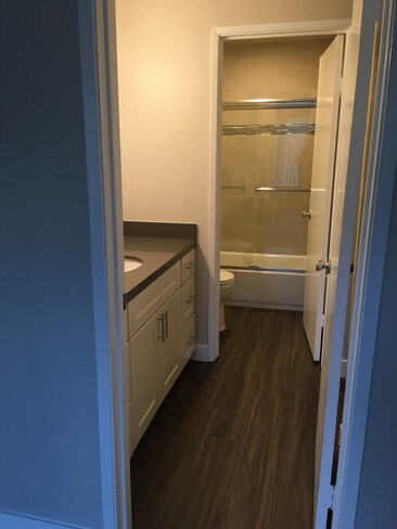 remodeled unit/bathroom area - Apricot Pit Apartments