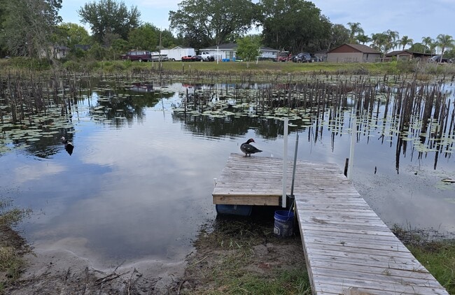 Building Photo - 2033 Quintilis Ct