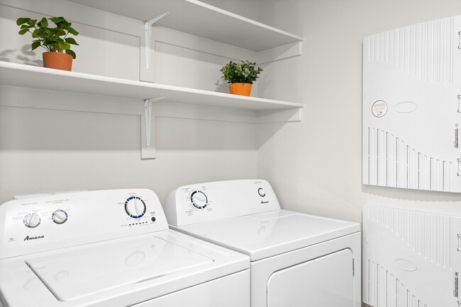 Washer & Dryer