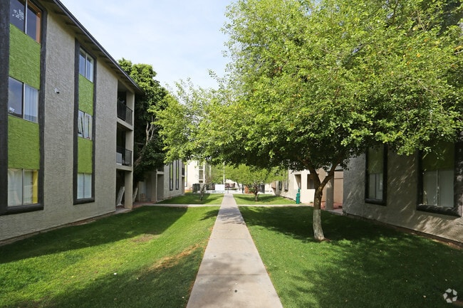 Photo - Contempo 15/Desert Sands