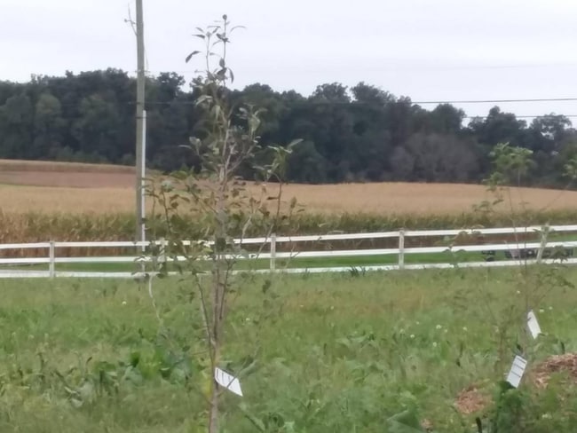 Photo - 50 Buckwalter Rd