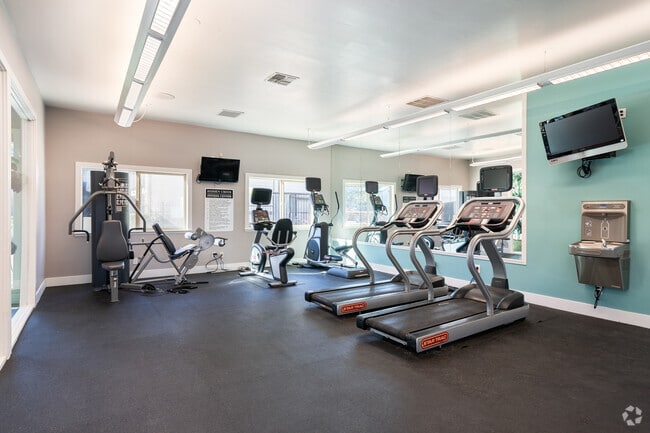 Gimnasio