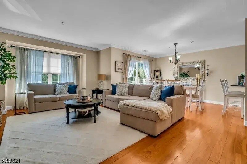 Photo - 10 Dudley Ct