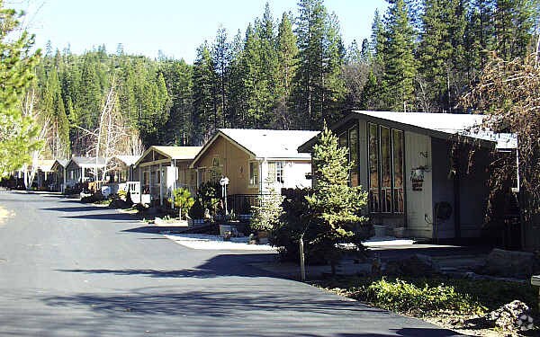 Sierra Springs Meadows - Sierra Springs Meadows Apartments