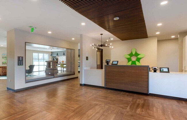 Furnished Studio-Chandler