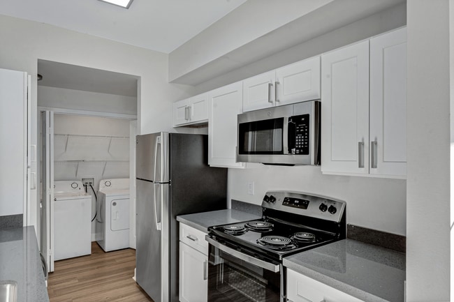 Photo - The Palazzo Apartments