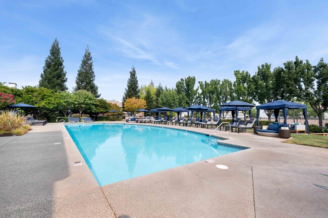 Piscina estilo resort en Ascent at the Galleria en Roseville, California - Ascent at The Galleria Apartment Homes