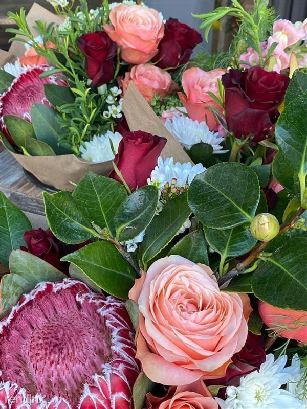 Photo - 1966 Union St