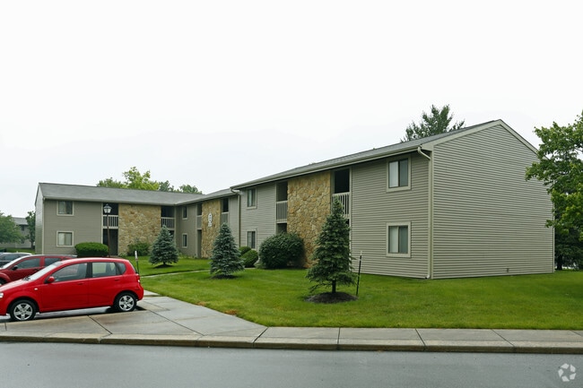 Primary Image
