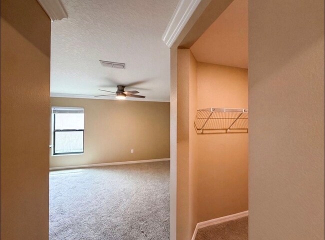 1884 Piedmont Ct