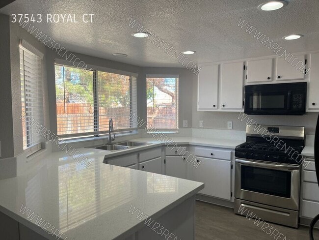 Photo - 37543 Royal Ct
