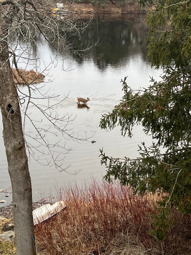 Photo - 70 River St Unité 70 River St  PS