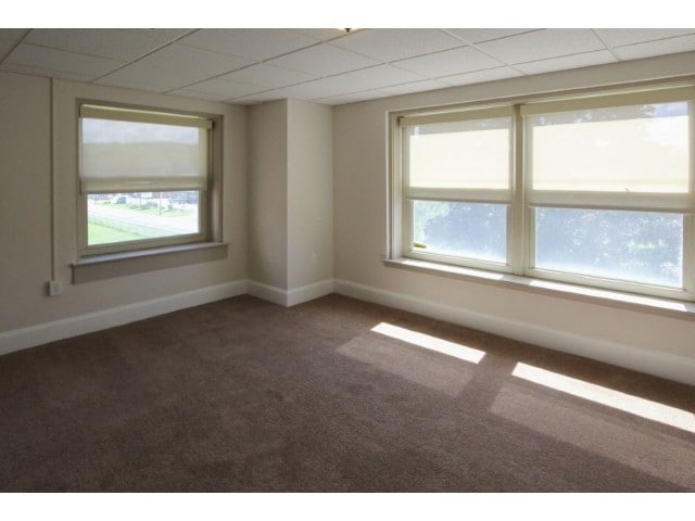 Carpeted bedrooms with large windows