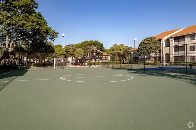 Soccer Court