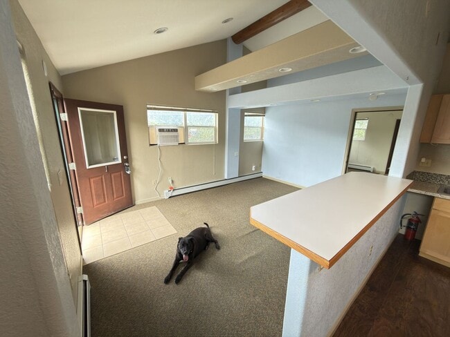 Photo - 3440 Myers Gulch Rd Unit 1
