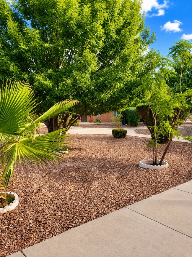 Photo - Santa Lucia Apartments