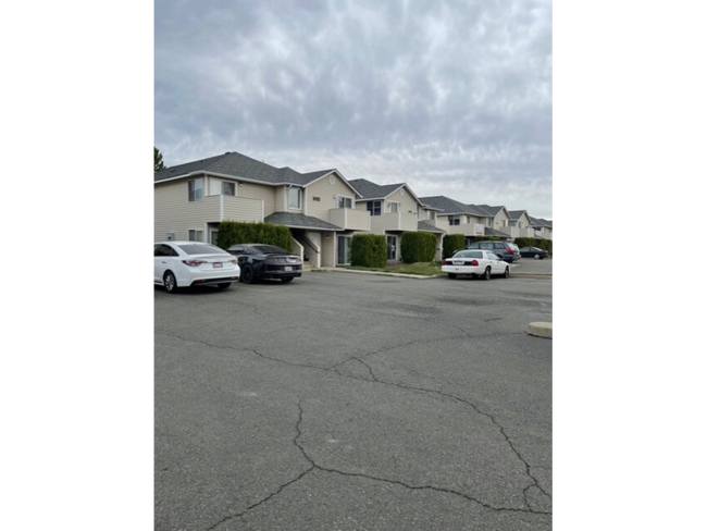 miniatura_IMG_3802 - Juniper Row