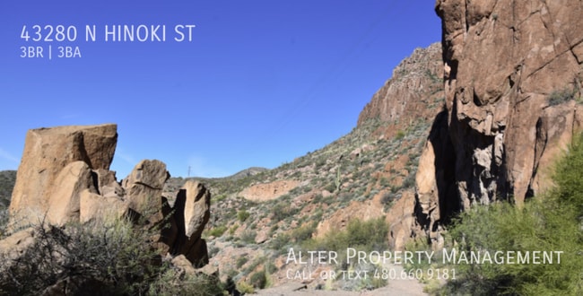 Photo - 43280 N Hinoki St