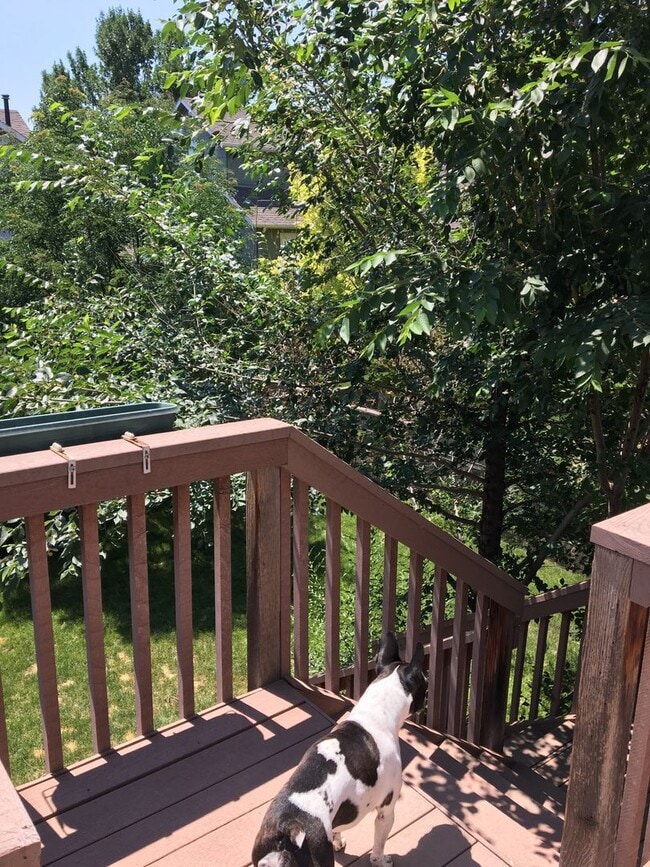 Photo - Adorable 2 bed/2 bath home in Southwest Longmont!