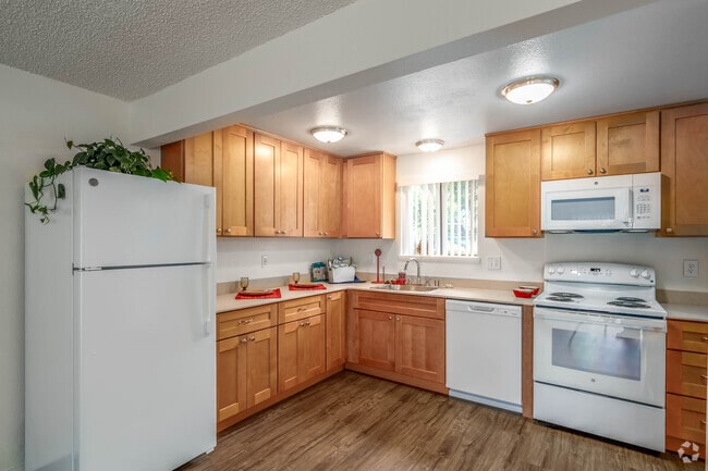 3BR, 1.5BA - 1,060SF - Kitchen